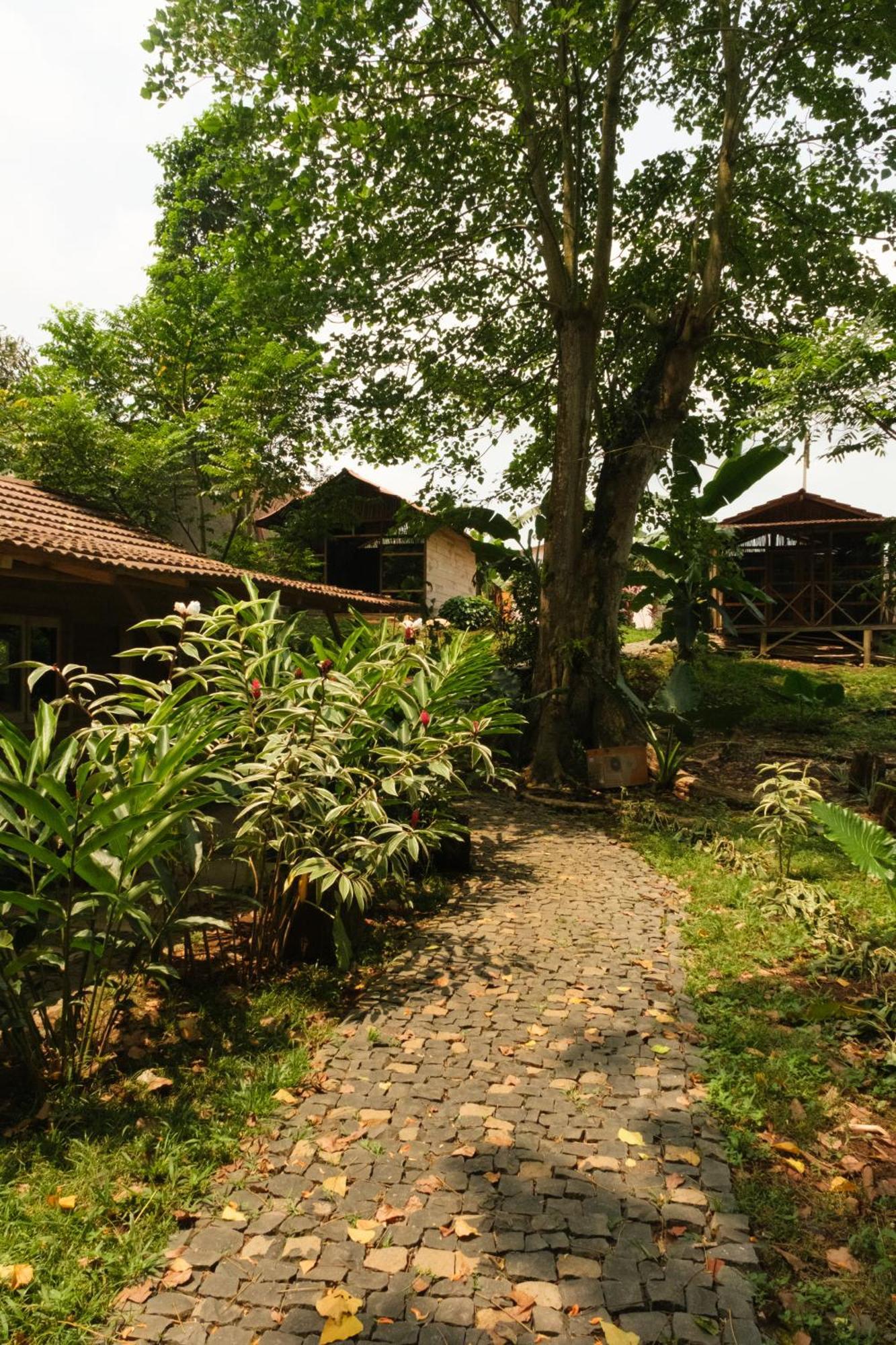 Roca Maria Helena-Principe Hotel Santo António Kültér fotó